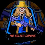 Mr Kaliya Gaming