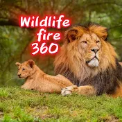 Wildlife Fire 360