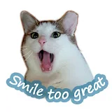 Smile_too_great