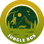 Jungle Box