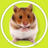 Mr Hamster