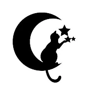 Cat to Moon
