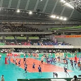 olleyball