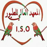 المعهد العالي للطيور