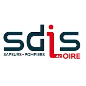 SDIS 42
