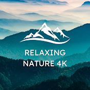 Relaxing Nature 4K