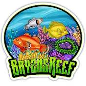 Bryzns Reef