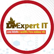 DM Expert IT