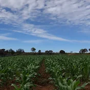 El Agrónomo