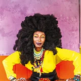 Fatoumata Diawara