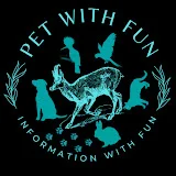 Pet with Fun