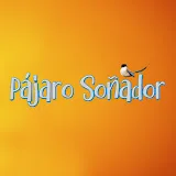 Pájaro soñador - Erkenci Kus