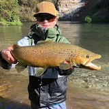 Baxter_flyfishnz