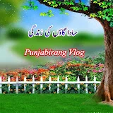 PunjabiRang Vlog