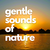 Gentle Sounds of Nature