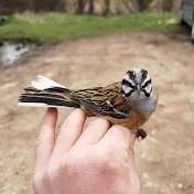 Bulgarian birder