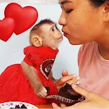 MONKEY LYLY