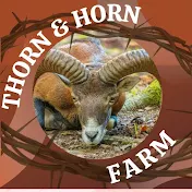 مزرعة الشوكة والقرن Thorn&Horn