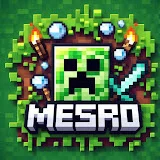 MESRO_MCP