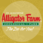 St. Augustine Alligator Farm: The Official Channel