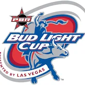 PBR BudLightCup