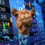 Camel Finance