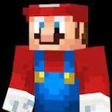 Mariocraft