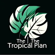 The Tropical Plan