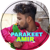 PARAKEET AMIR