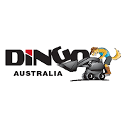 Dingo Australia