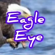 Eagle Eye