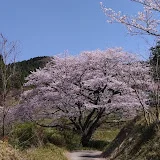 ゆっくりしたいぜ移住生活【農業・草刈りプラスちょっとIT】