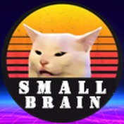 Small Brain Energy