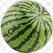 melon