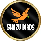 Shazu Birds