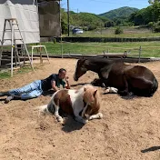 馬の楽園〝なごみ牧場🐴〟