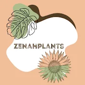 Zenahplants