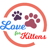 Love For Kittens YT