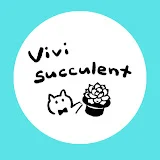 vivi succulent