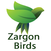 Zargon Birds