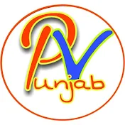 Positive Vibes Punjab