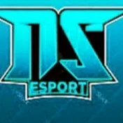 Vishal Sharma Esports