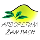 Arboretum Žampach