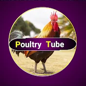 Poultry  Tube