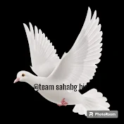 Team sahabg bird