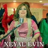 Xeyal Evin - Topic