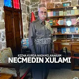 Necmedîn Xulamî - Topic