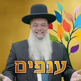 ענפים