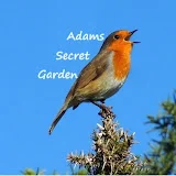 Adams Secret Garden