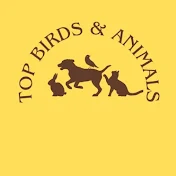 Top Birds and Animals